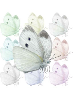 スマホ用ページ＞（紋白蝶）モンシロ チョウのポストカード用イラスト