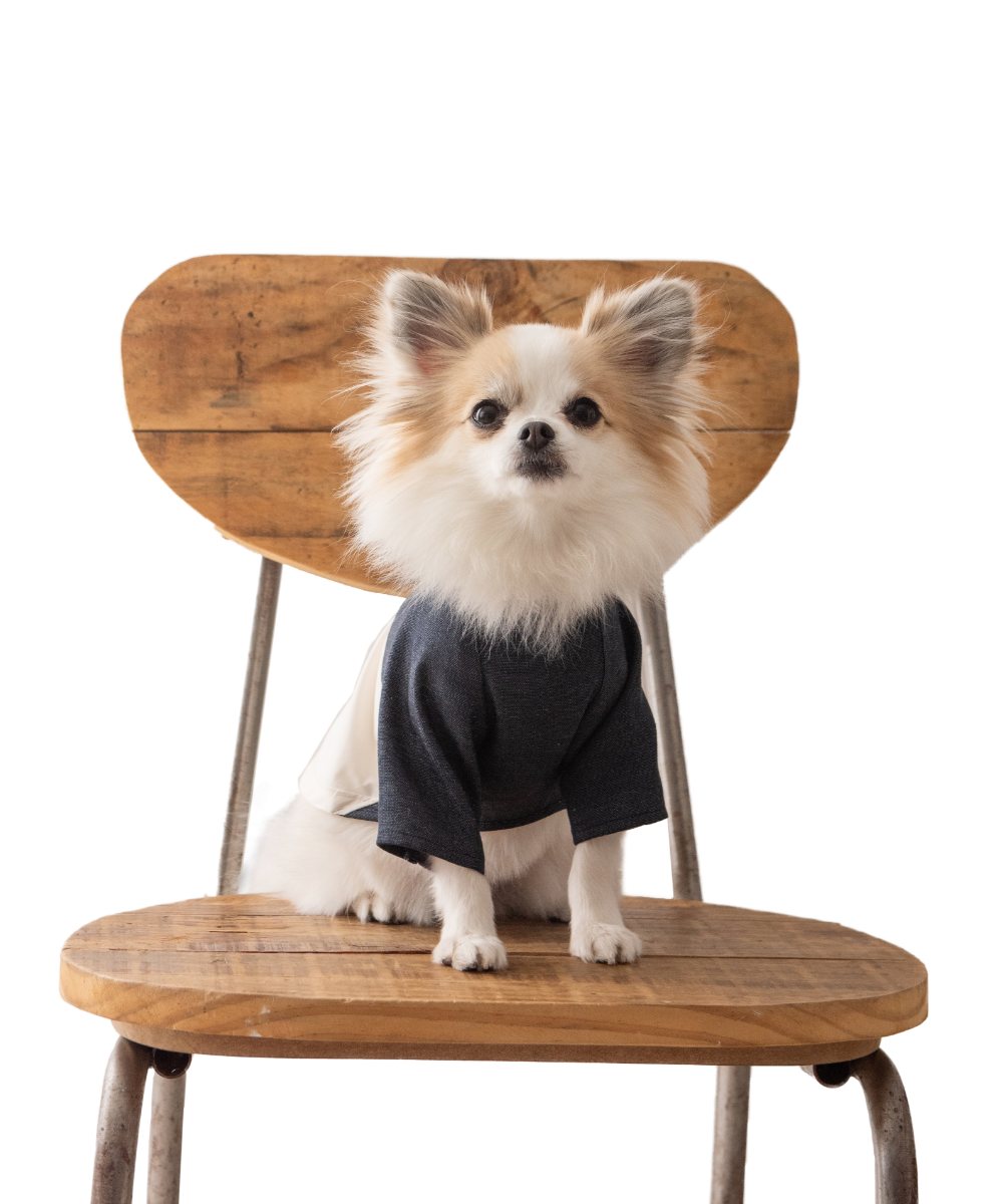 犬服 No.197 トリコロールボーダー×デニムワンピース ハンドメイド