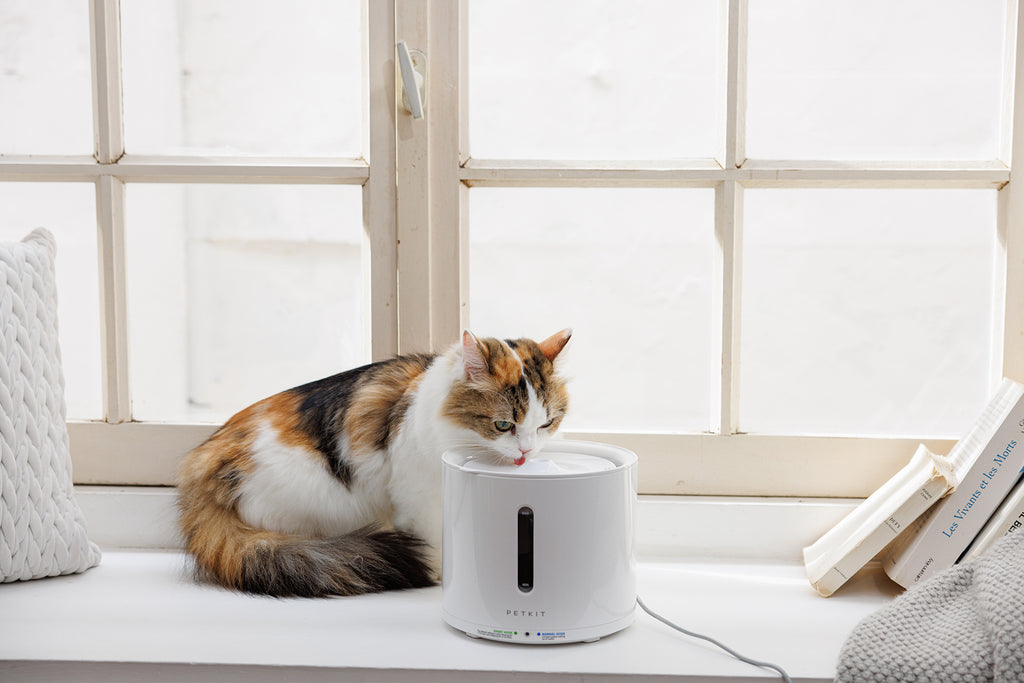 ドリンキング-ウォーターファウンテン-solo2 | DADWAY PET DEPARTMENT