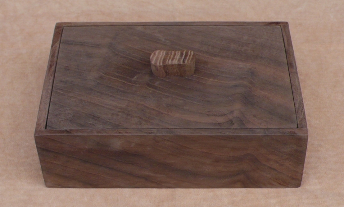 阿武隈川の埋もれ木