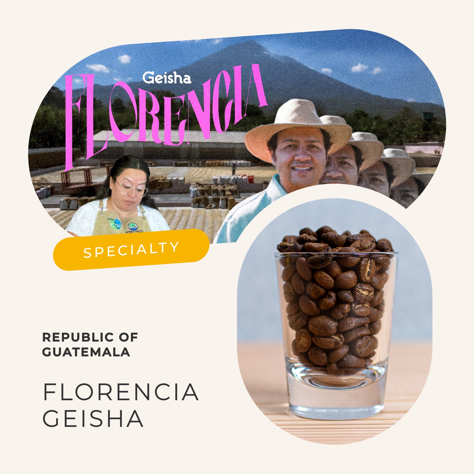 グアテマラ フロレンシア農園 ゲイシャ – エレガント珈琲