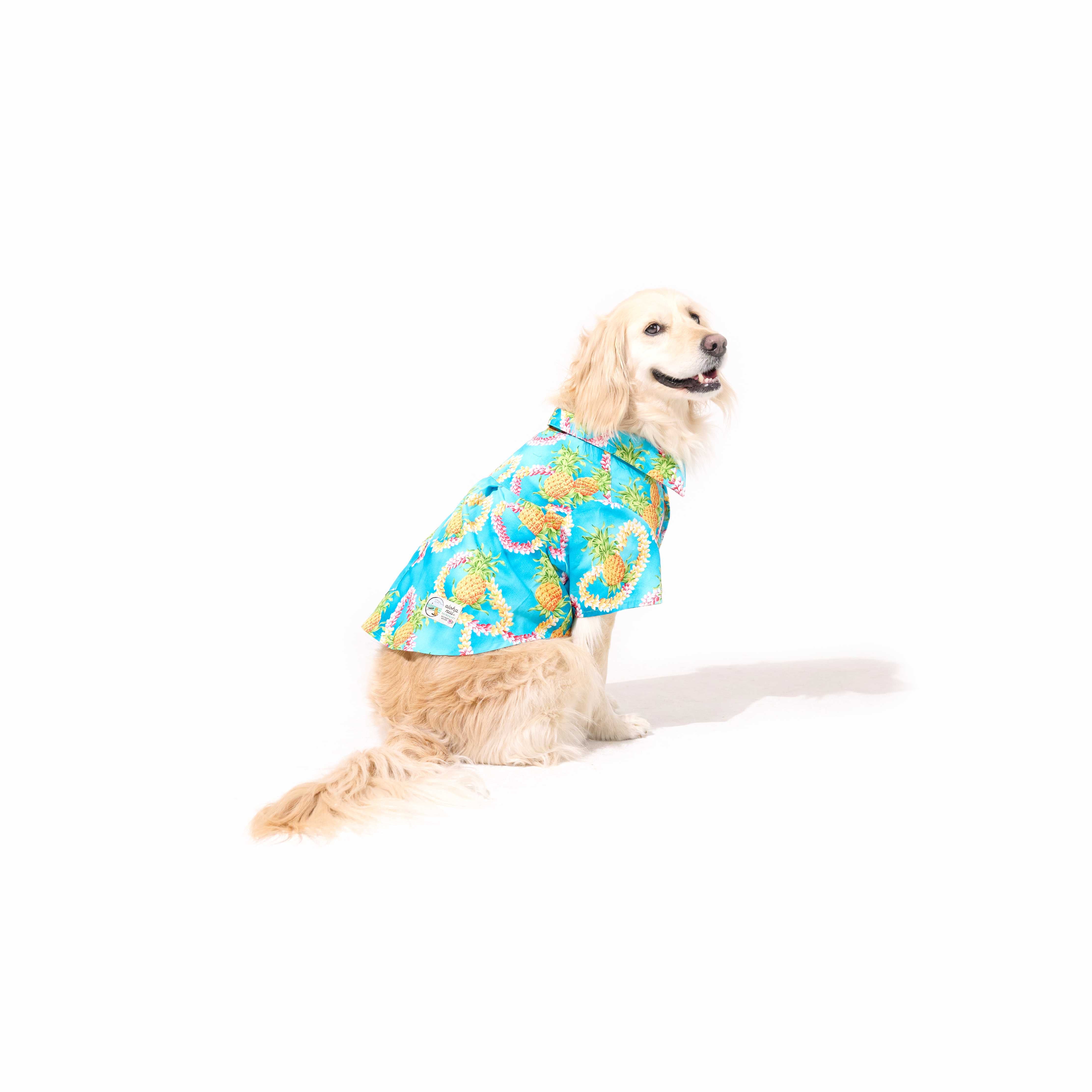 よし☆よし様♡わんこ服♡専用 【公式通販】