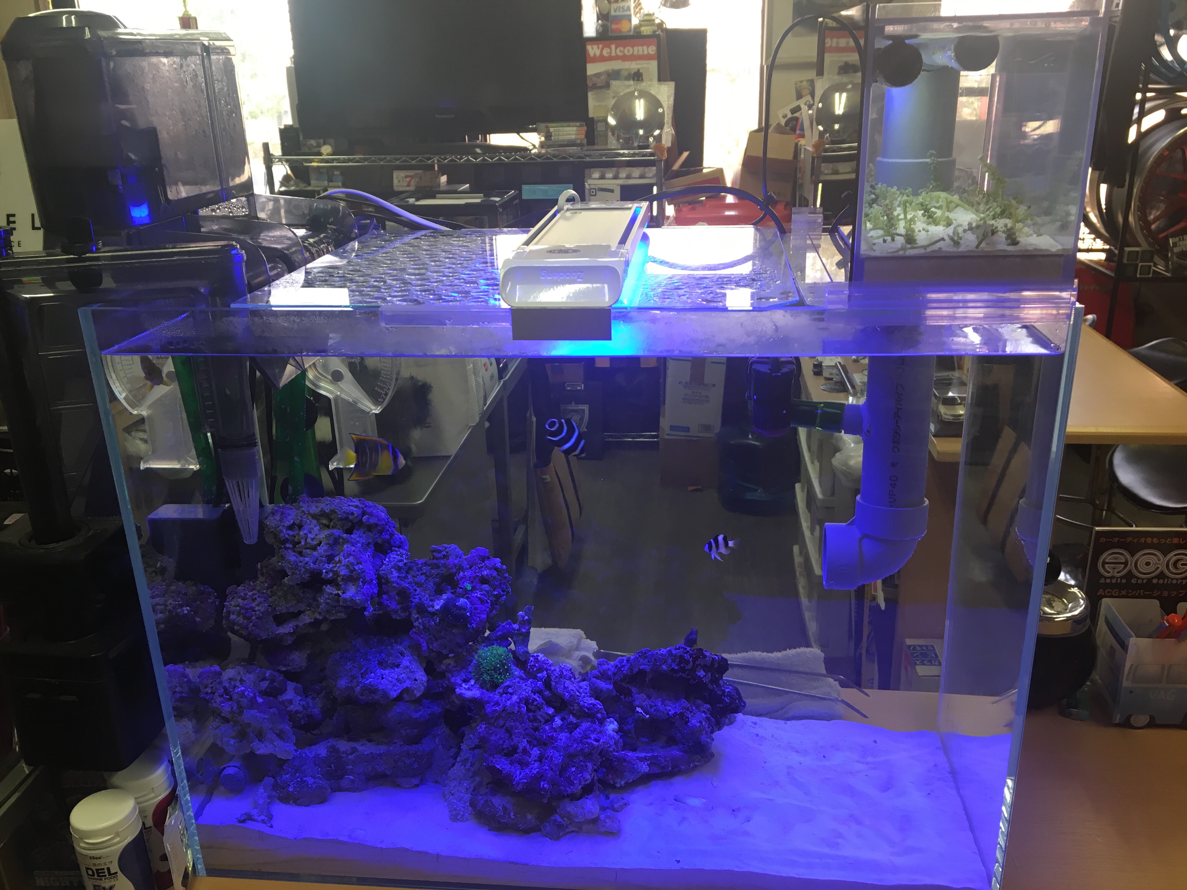 オーバーフローガラス水槽 リフジウム100cm 引取り限定 【公式通販】