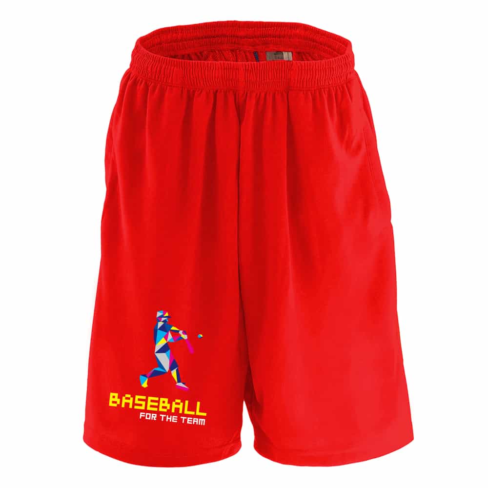 東京ヤクルトスワローズ 実使用 支給品 ハーフパンツ 野球 NPB 東京