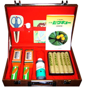 ビワキュー和（びわ温灸）