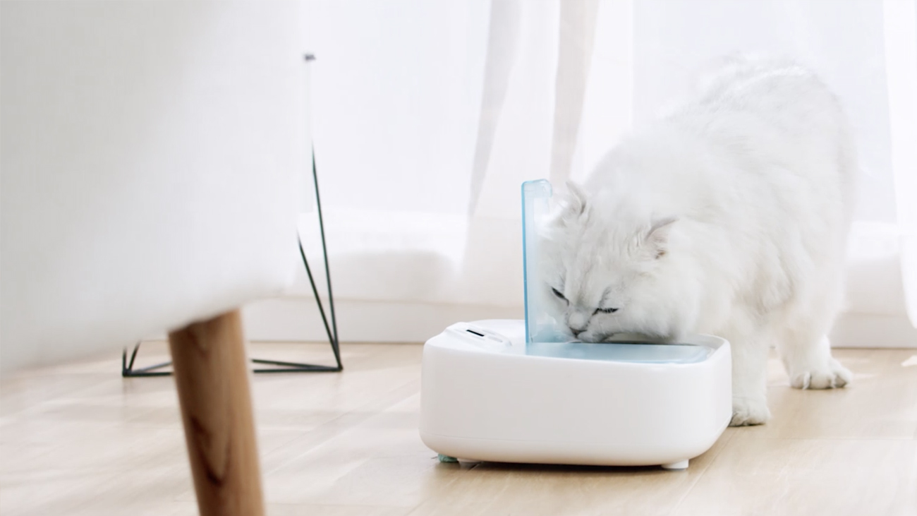 スマホ対応 犬猫用オープンタイプ自動給餌器 Petoneer Two-Meal Feeder