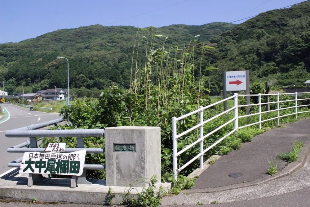 自然がいっぱい！水のきれいな神浦川で思いきり遊ぼう！ | 冒険県 冒険