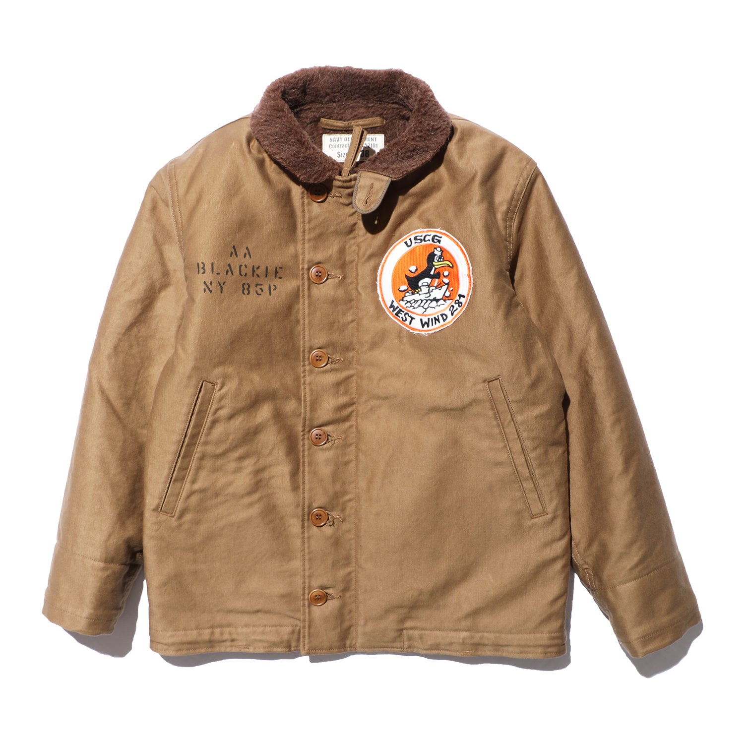 標本 Australia Blackburnium s.p 24mm Australia Blackburnium s.p 24mm