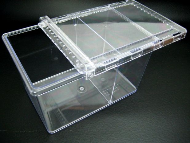 飼育ケース-クリアースライダー/オオクワガタ販売のオオクワキング