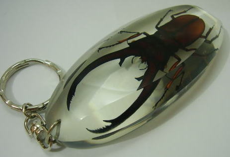 昆虫キーホルダー