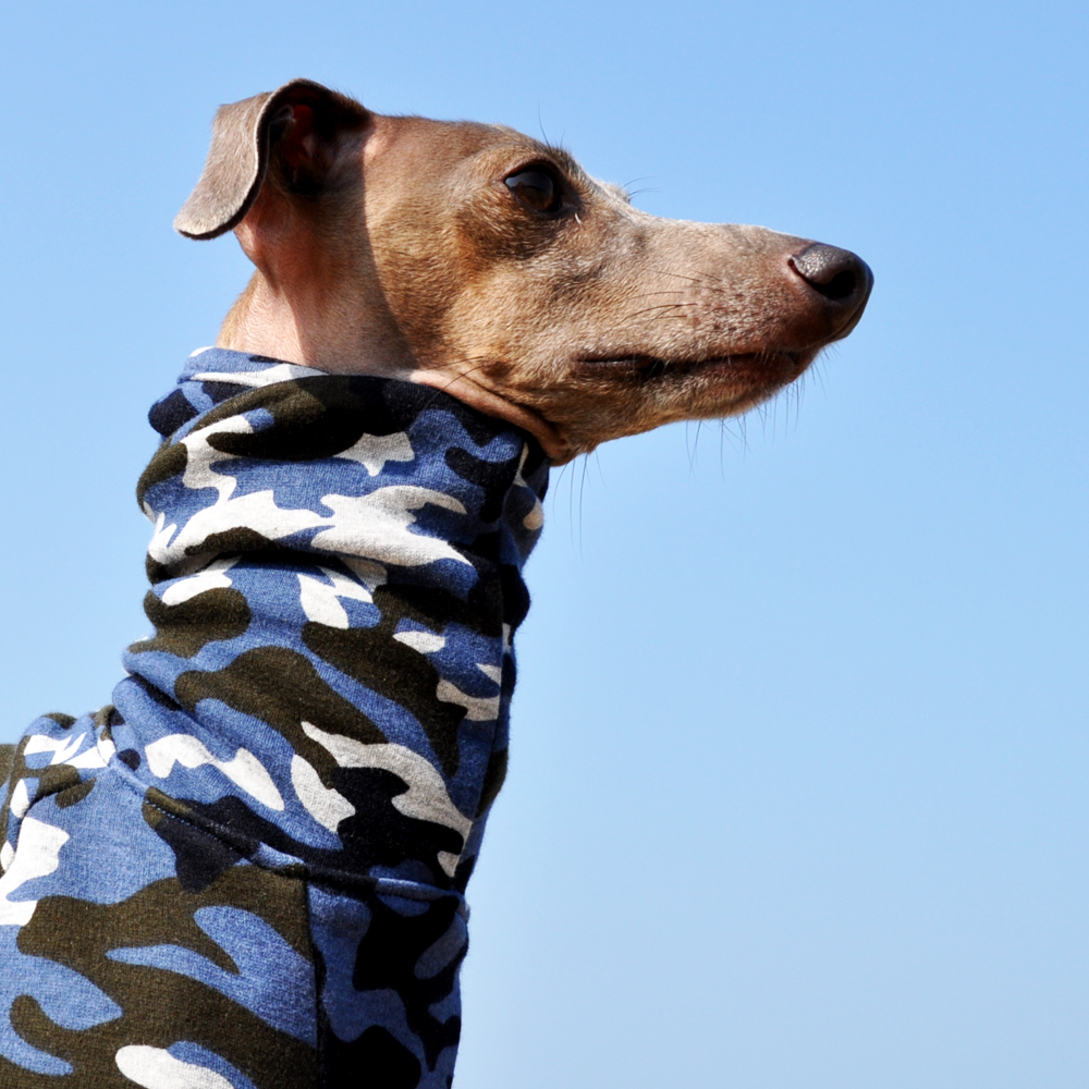 犬服｜Sea Camouflage｜裏起毛ボンバーヒートニット（保温）｜選べる3