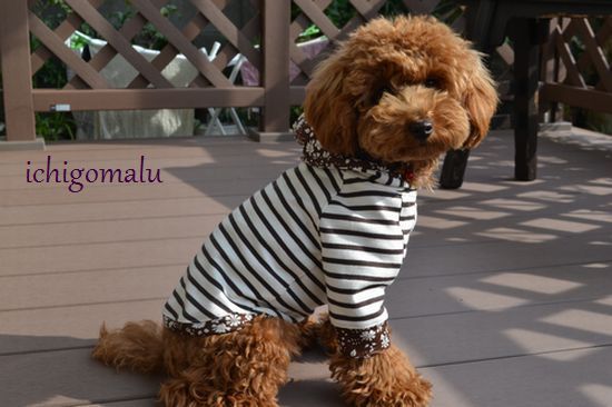 BIG BOSS wear 犬服 ハンドメイド