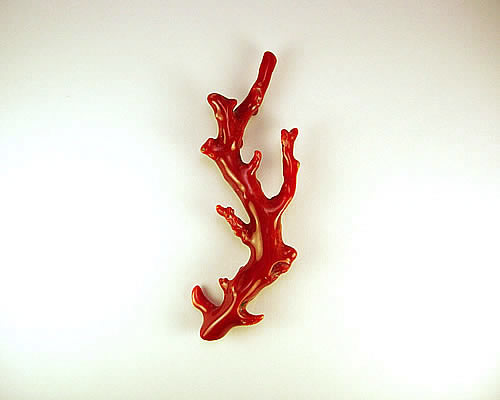 血赤珊瑚 枝 18.1g ジュエリールースdc600 - 御徒町の宝石屋
