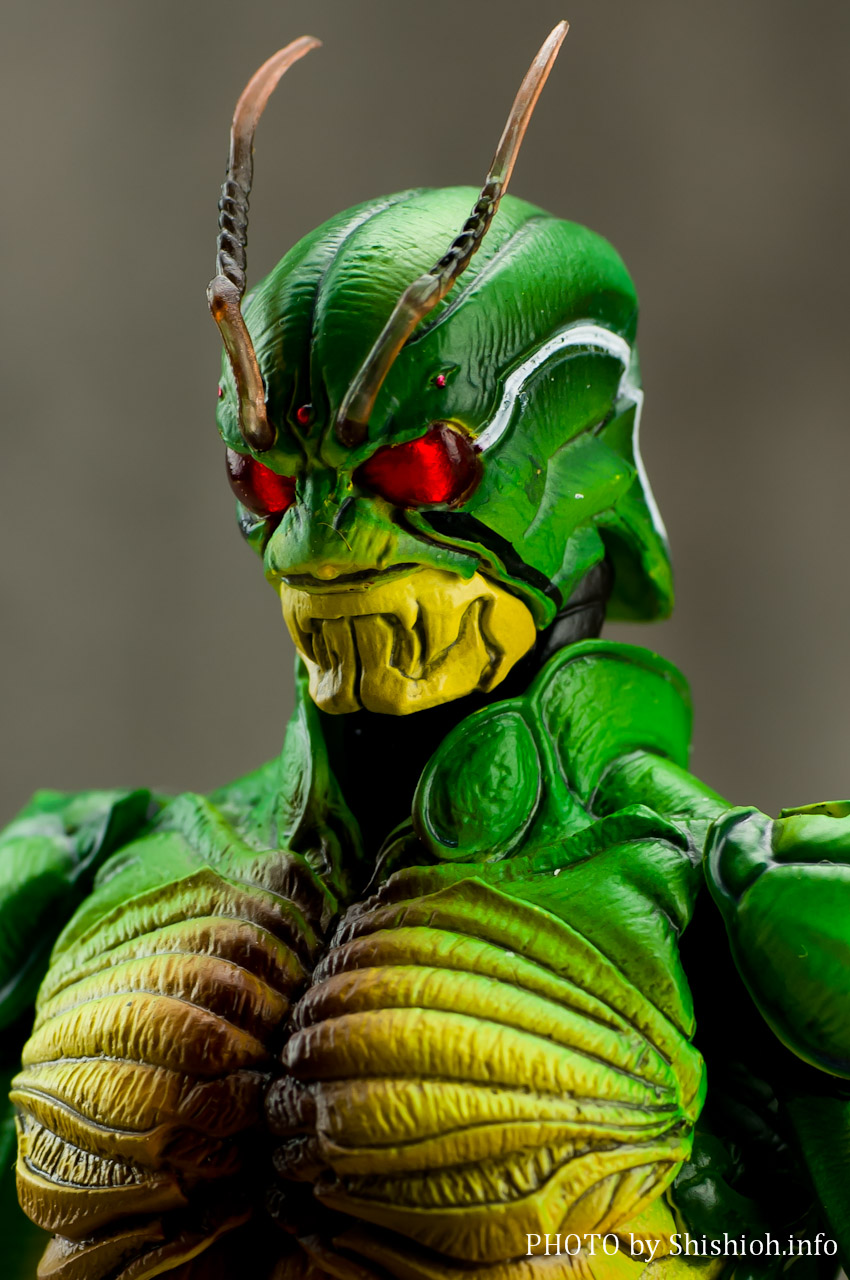 た*)様 ⭐️魂ウェブ商店限定 S.I.C. 仮面ライダーシン 真・仮面