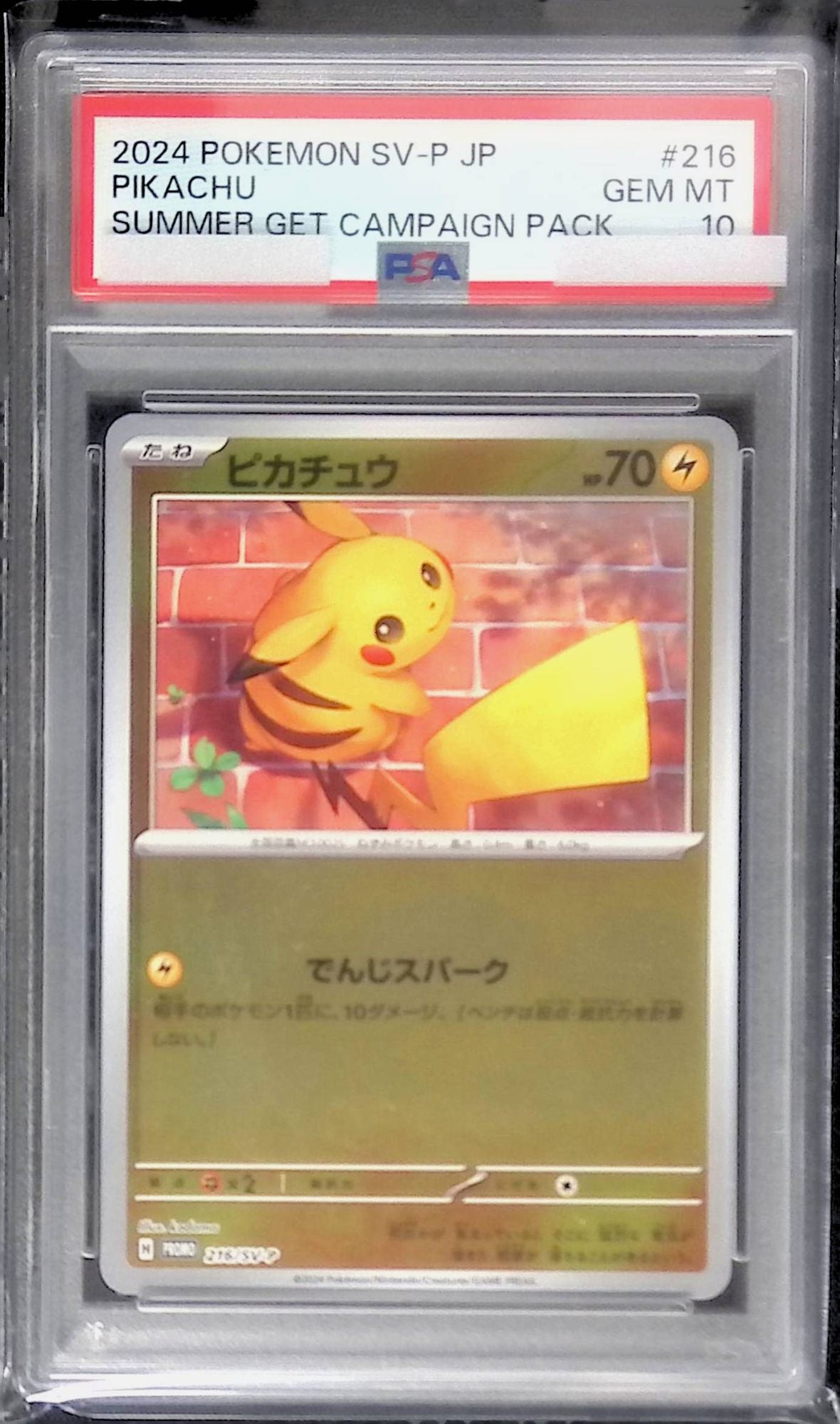 ピカチュウ プロモ 夏がキタ PSA10 PSA10】ピカチュウ P [SV-P 218