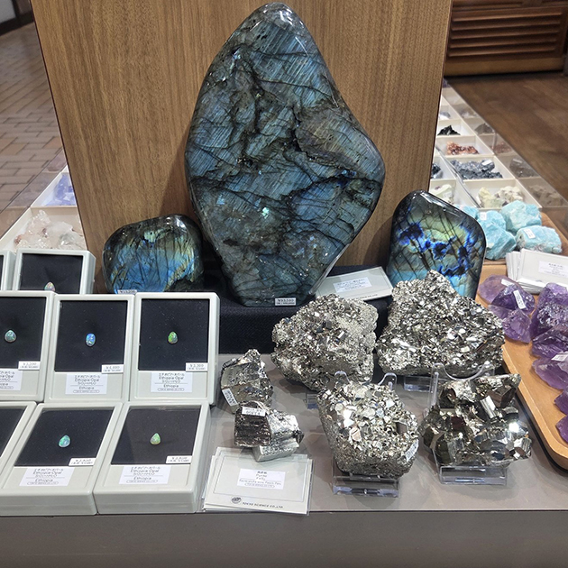 ミュンヘン新着フェア2026」開催中！−新宿ショールーム｜化石販売