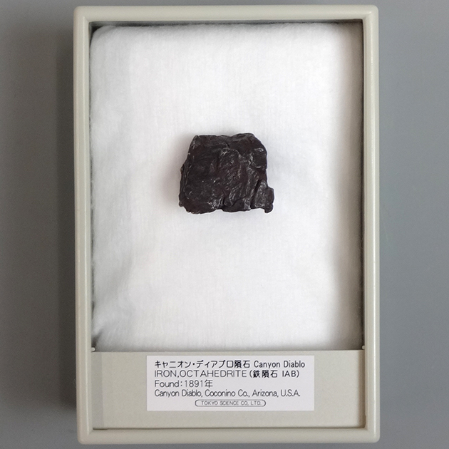キャニオンディアブロ隕石｜化石販売・鉱物販売の東京サイエンス