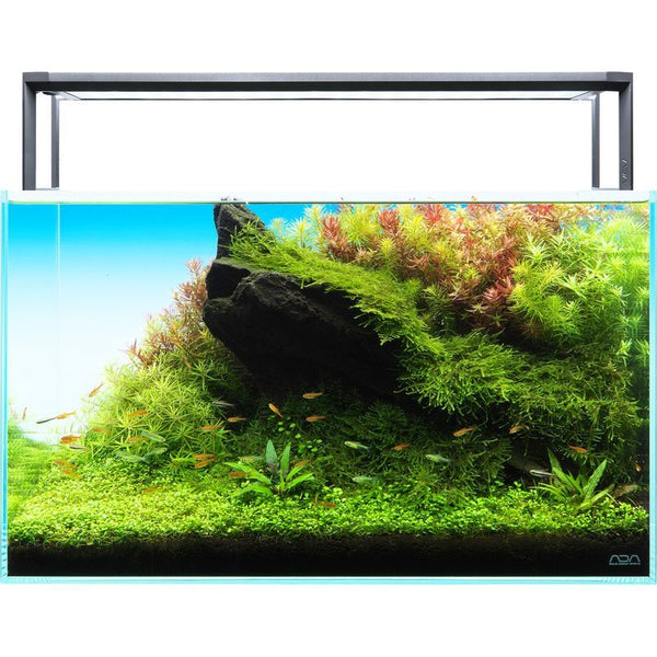 ADA NATURE AQUARIUM AQUASKY G 602 ② onaquarium_grande.jpg?v