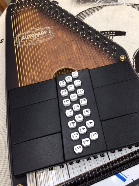 珍しい楽器が入荷致しました！【オートハープ】 | イシバシ楽器