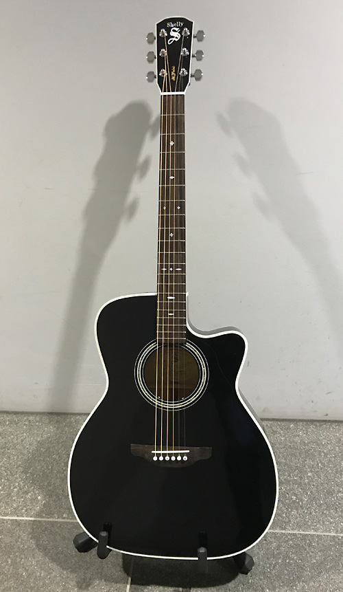 値引き相談可！Shelly SY-MT 12弦アコースティックギター 値引き相談可