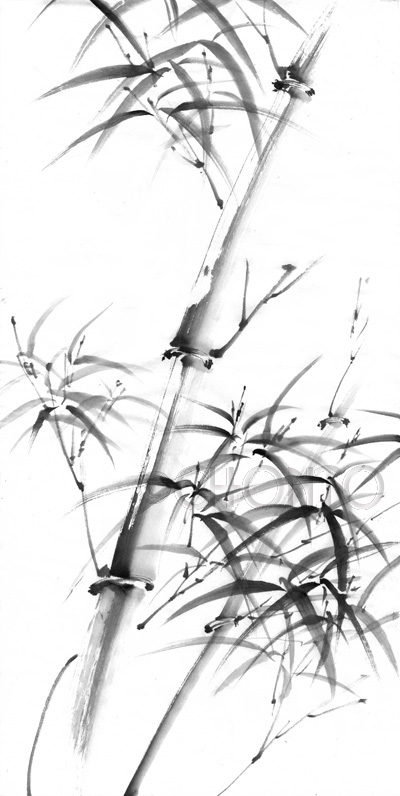 水墨画イラストレーター渡邊ちょんとwow!CHONTO illustration