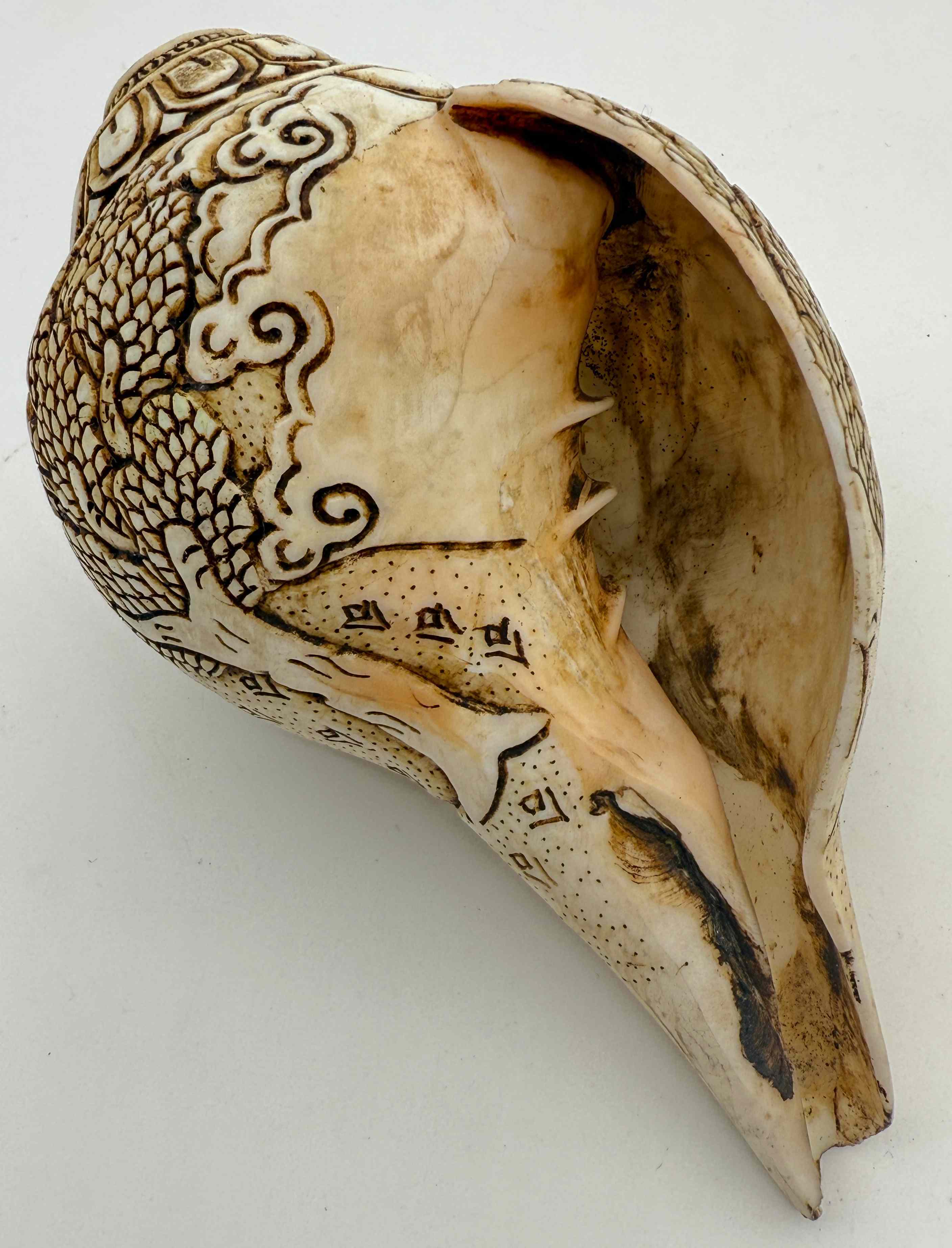 ◇チベット密教法具 法螺貝（シャンカ）ドゥルガー - TashiTage