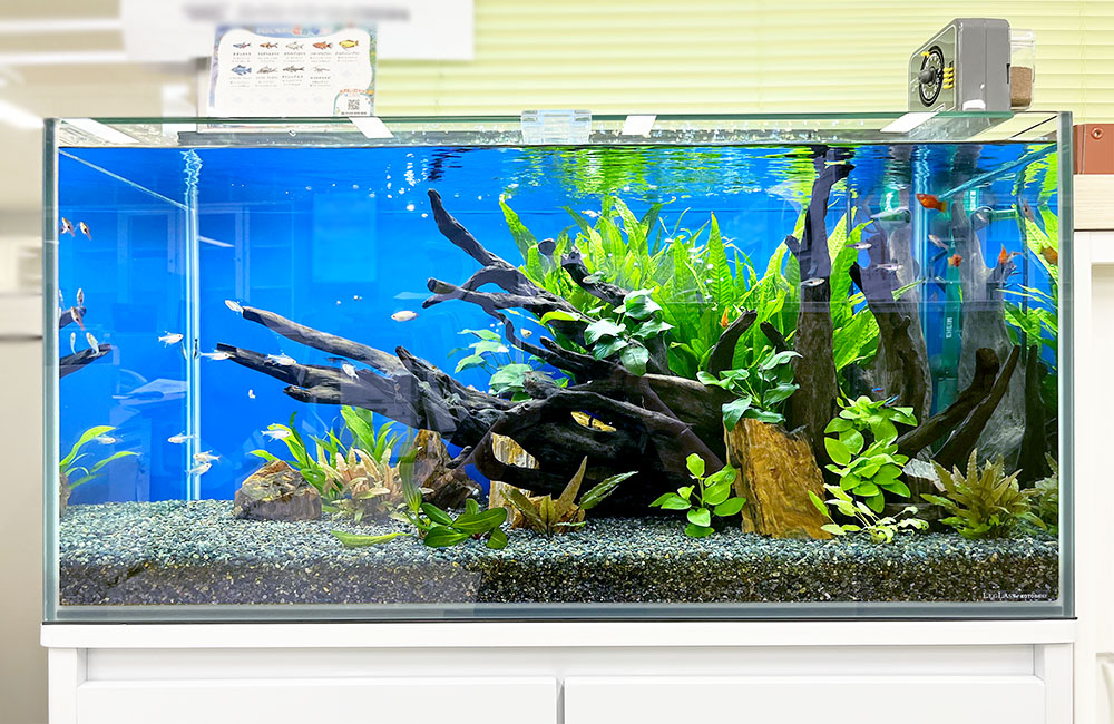 ニッソー 90cm 曲げガラス 水槽 NISSO アクアリウム 水草水槽 大型