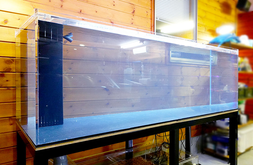 180cmの大型アロワナ水槽を特注制作！個人宅に設置しました｜東京