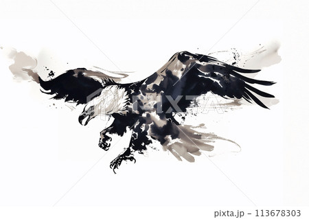 鷲の水墨画のイラスト素材 [113678303] - PIXTA