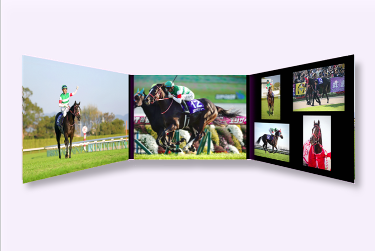 極レア品 出資者限定品 リスグラシュー コックスプレート勝利記念 引退