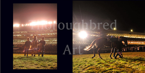 ユーキ オルフェーヴル 引退式額装写真 レース写真同梱 オルフェーヴル