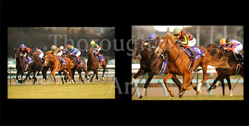 ユーキ オルフェーヴル 引退式額装写真 レース写真同梱 オルフェーヴル