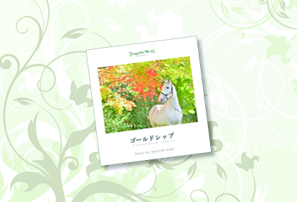 クラファン企画5○ゴールドシップ○作品写真集「GOLD SHIP」豪華版