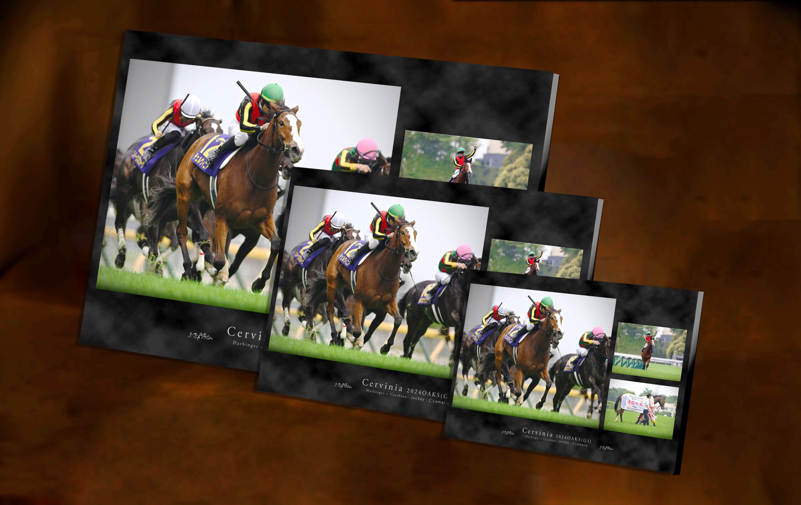 JRA 競馬 馬写真（額入り）冬花 JRA 競馬 馬写真（額入り）冬花