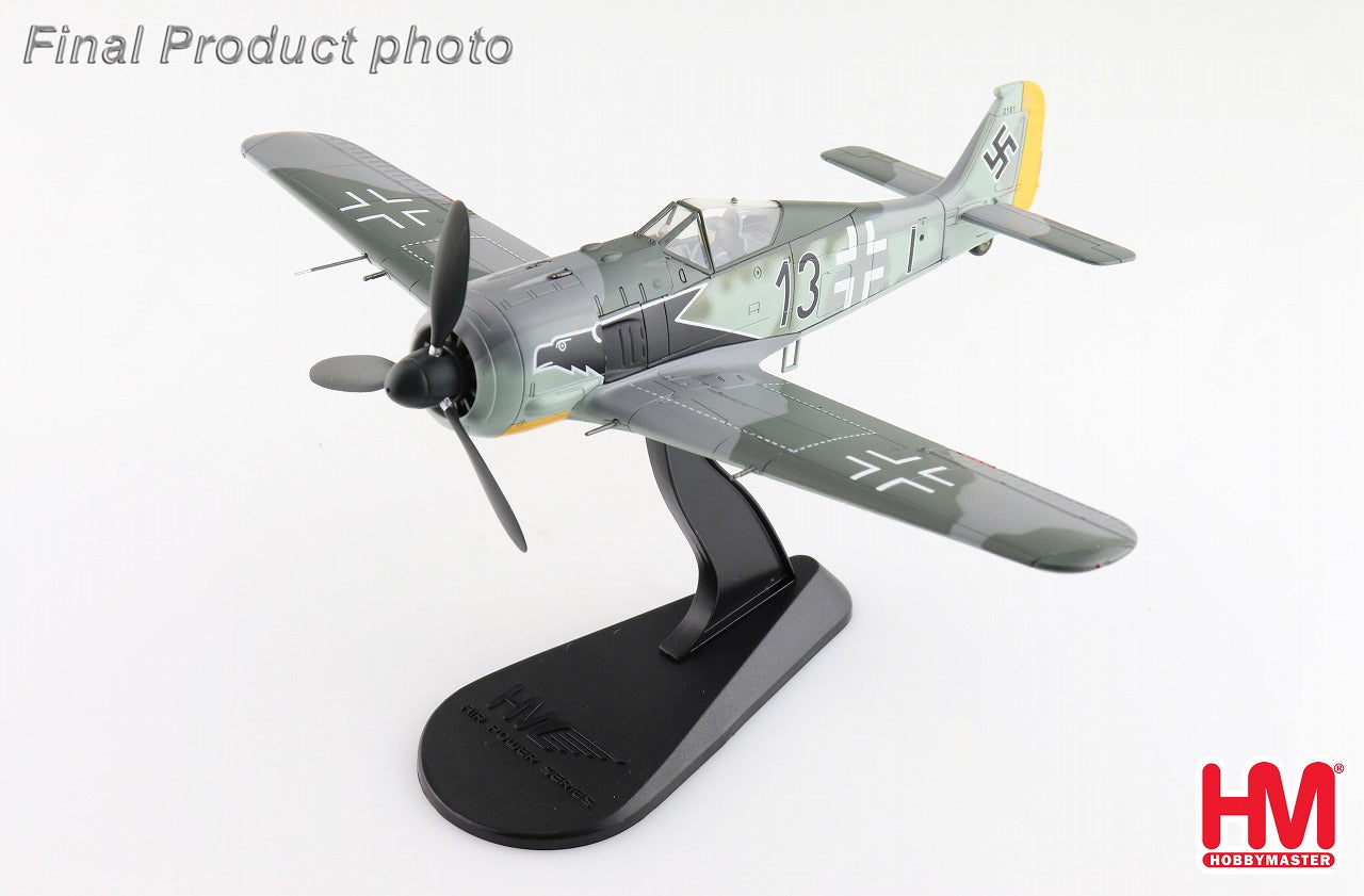 絶版新品 ホビーマスター 1/48 ドイツ空軍Fw190A8 1944年 絶版新品