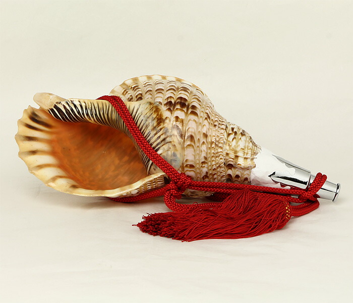 ほら貝 法螺貝 和楽器 貝殻製の楽器 和楽器 ホラ貝 ネット付き 法螺貝