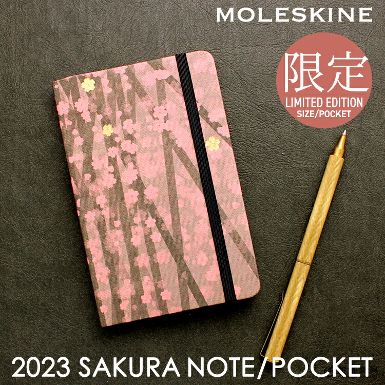 moleskine-0311.jpg