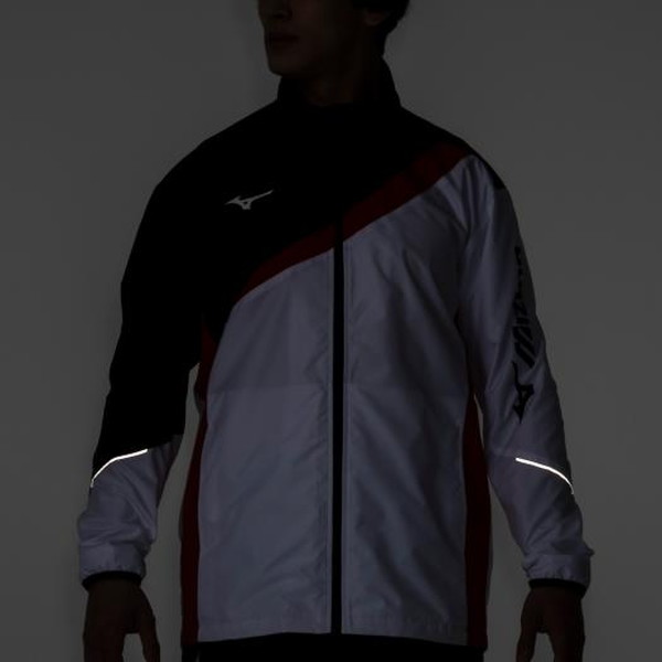 THEMODS ウィンドブレーカー Lサイズ2004年ツアーグッズ THEMODS