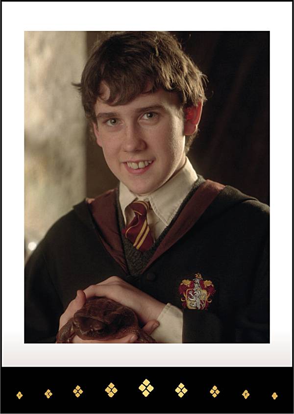 楽天市場】【13.ネビル・ロングボトム】ハリー・ポッター ぱしゃこれ