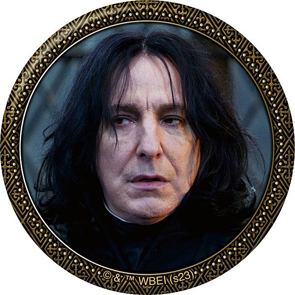 スネイプバッジ16枚セット