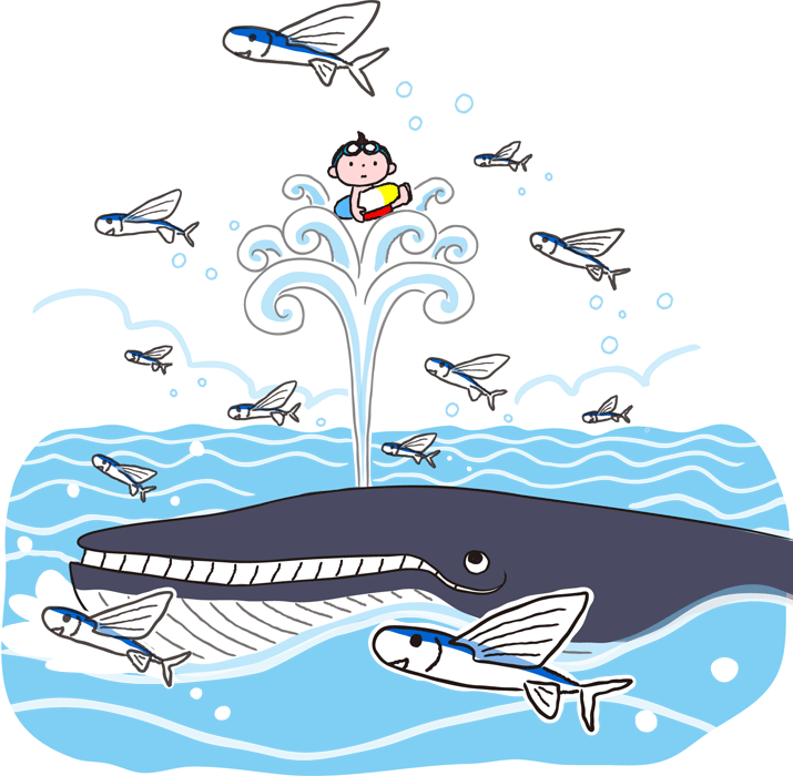トビウオと鯨