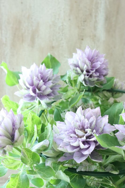 糸大八 大きく咲く 絵画4号 糸大八 大きく咲く 絵画4号 糸大八大きく