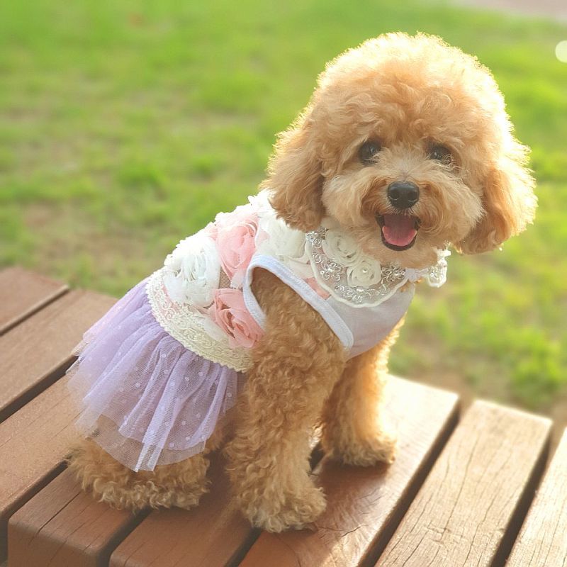 犬服 3S わんこの普段着 ブラウンローズ 犬服 3S わんこの普段着