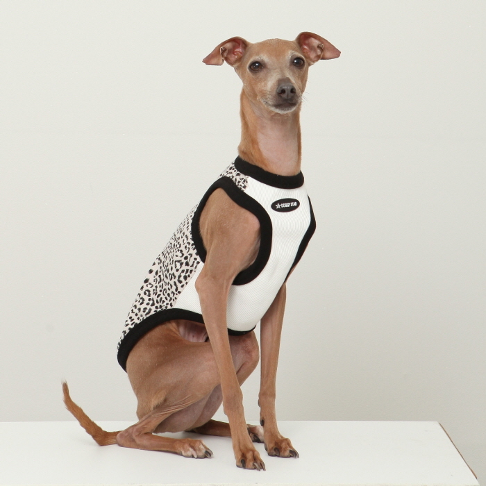 イタグレ服 S M L XL 2XL 3XL ヒョウ柄 タンクトップ Tシャツ