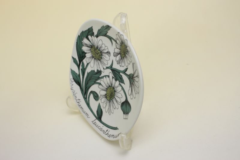 ARABIA ボタニカ Esteri Tomula 壁掛け絵皿