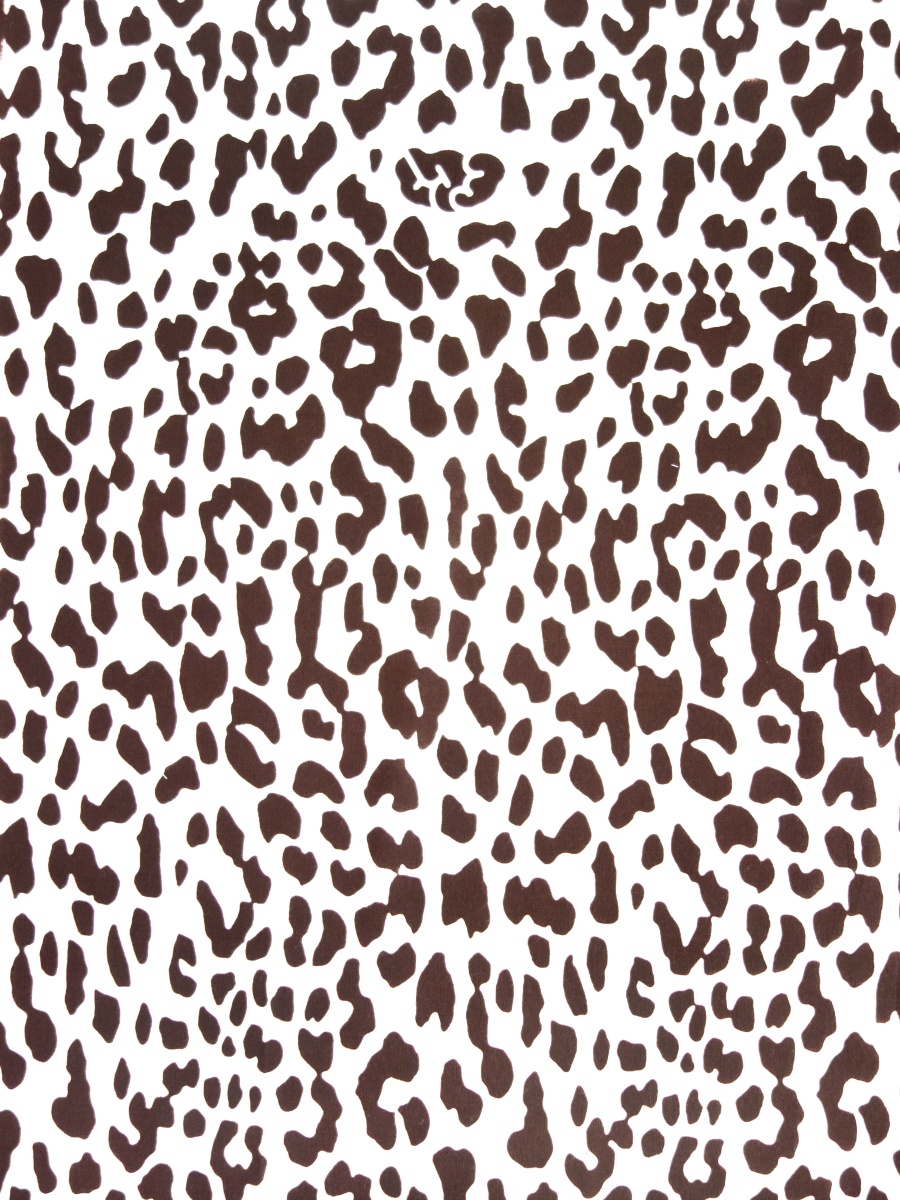 ヒョウ柄デザインの三線本体 エキゾチックで野生的なパワーを感じる