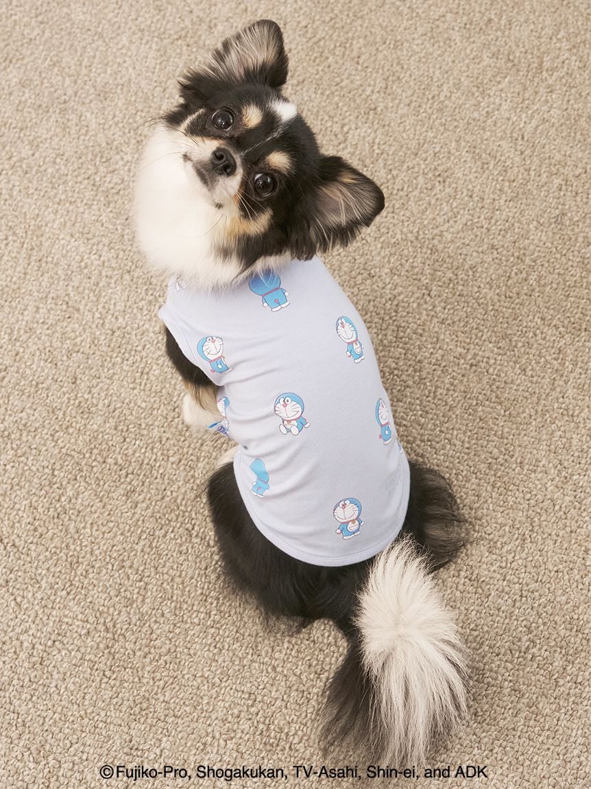 サラダ様ページです ダックスフンド 犬服 わんこ服 サラダページです