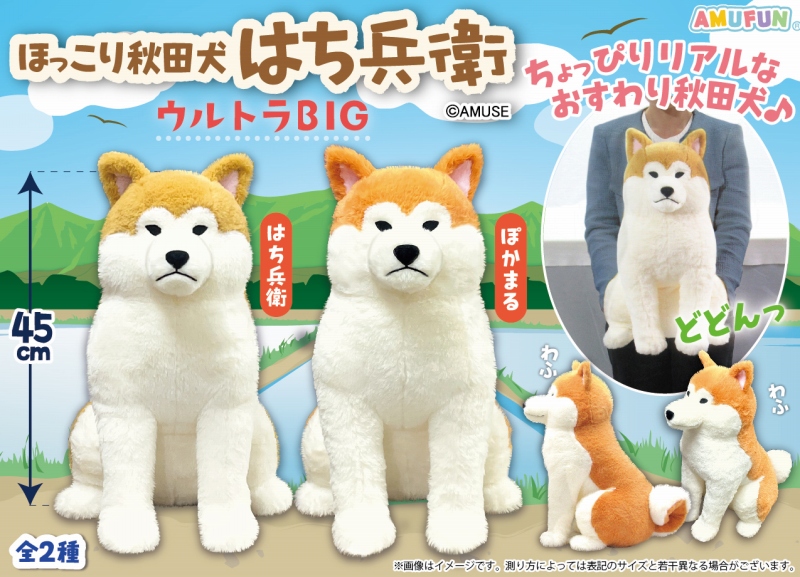 ≪5月の新商品≫ほっこり秋田犬はち兵衛-NEW ITEM！｜アミューズ最新情報