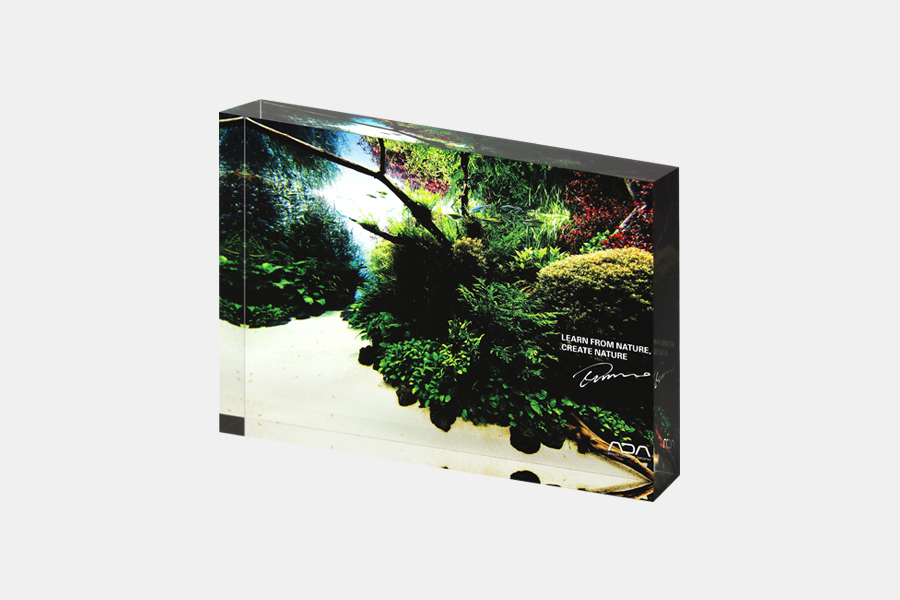 ADA ACRYLIC PHOTO BLOCK -FORESTS UNDERWATER- ADAアクリルフォト
