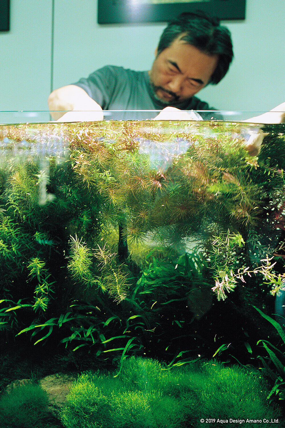 NATURE AQUARIUM GOODS HISTORY - Story 01. 